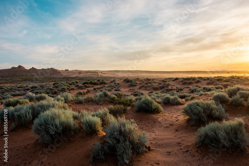 Desert landscape sunset