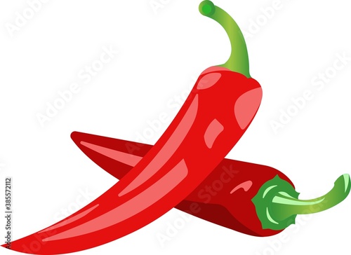 Two pods of red chili peppers.