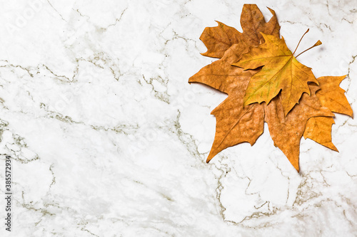 Autumn image/background. Tree leaves, Platanus × hispanica, on marble background. photo