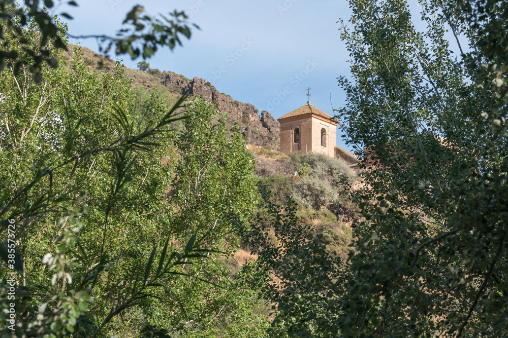 Fototapeta premium tower of a church among vegetation