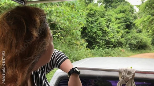 Wallpaper Mural tourist woman traveling in a pickup into jungle tropical rainforest Thailand in summertime Torontodigital.ca