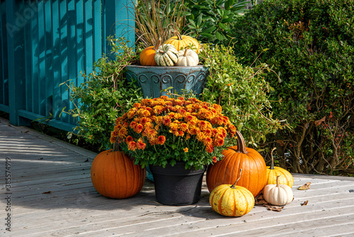 pumpkins and flowers