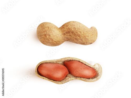 large peanuts in shell on white background