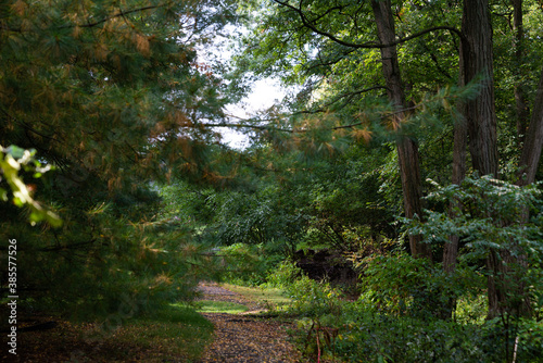 Empty pathway