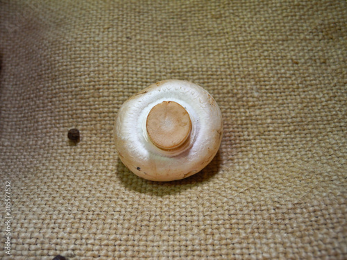 Mushrooms (champignons) lie on burlap along with black peppercorns.