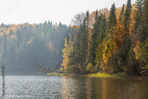 Autumn landscape with fog, picturesque forest on the river Bank. Bright colors of autumn on the trees.