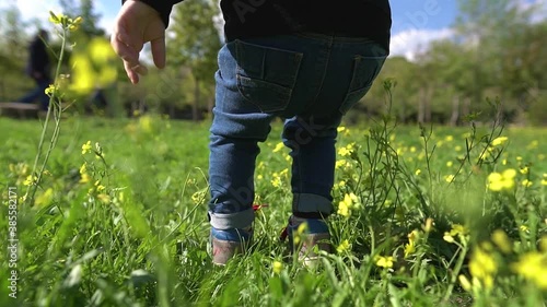 Legs of a little boy standing in the green grass in the park and looking around.