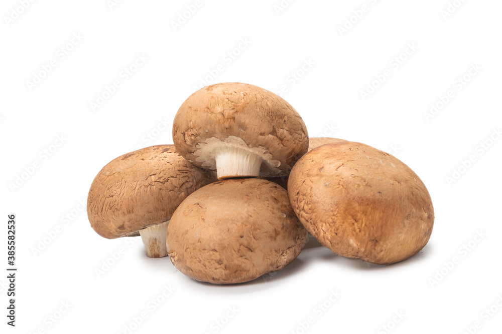 Tasty mushroom isolated on white background. Tasty mushroom isolated on white background.