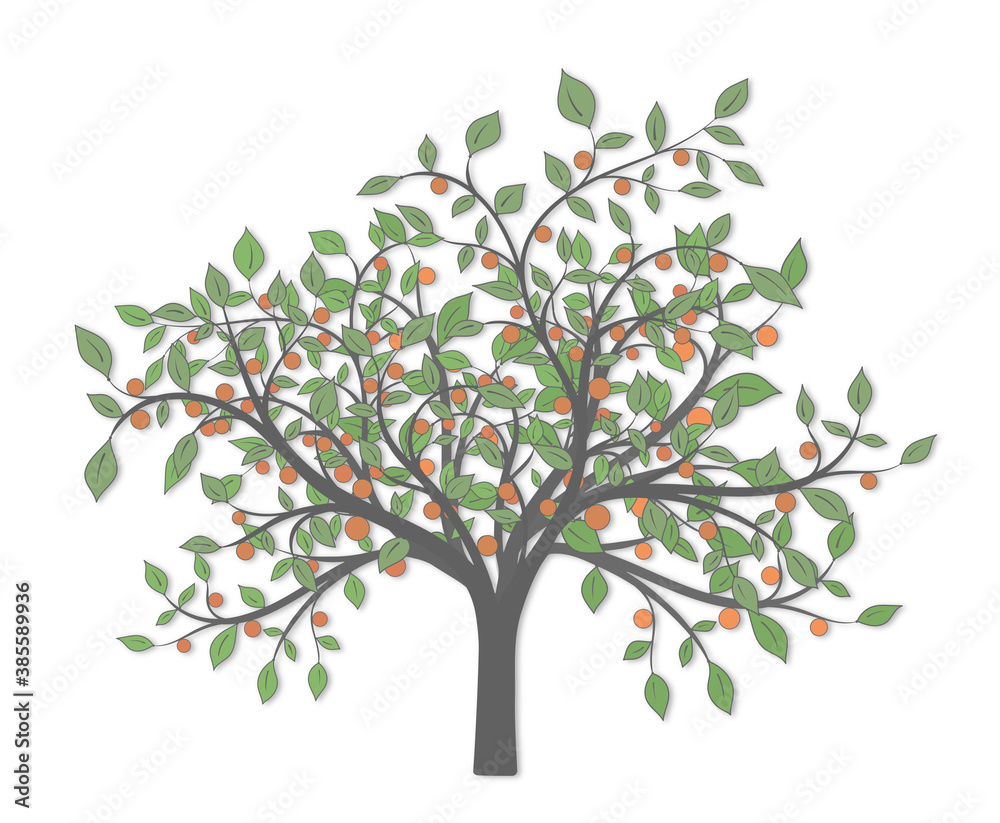Tree with branches and lots of green leaves and red fruits of different sizes and tones on a white background