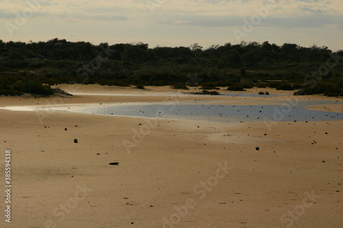 Agua y arena junto al mar. Parque Regional Salinas y Arenales de San Pedro del Pinatar (Murcia).