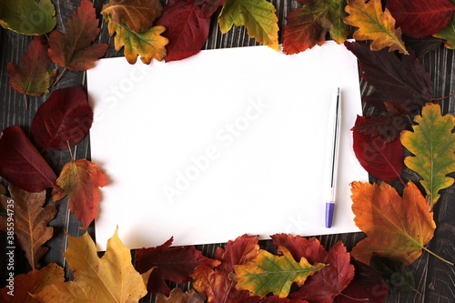 Flat lay white sheet of paper with a pen and autumn leaves lie on a wooden surface. Business and education concept. Blank sheet with copy space.