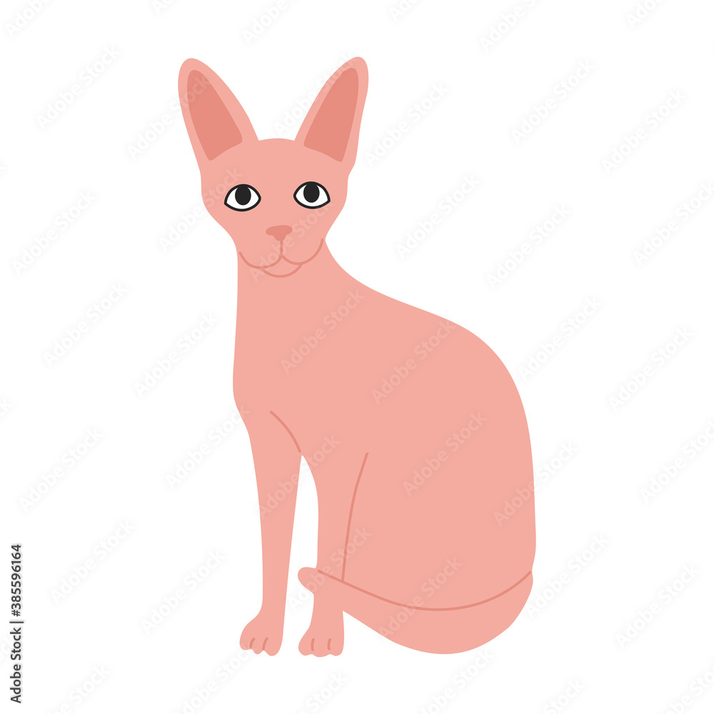 Sphinx, hairless cute cat in pink color. Modern pet. Hand drawn vector illustration in flat cartoon style, isolated on white background. 