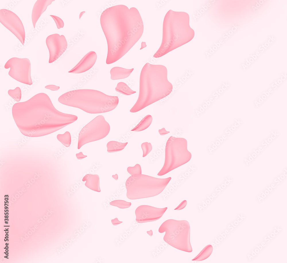 Petals of roses. Spring background table. May flowers and April floral nature on pink. For banner, branches of blossoming cherry against background. Dreamy romantic image, landscape, copy space. Petals of roses. Spring background table. May flowers and April floral nature on pink. For banner, branches of blossoming cherry against background. Dreamy romantic image, landscape, copy space.