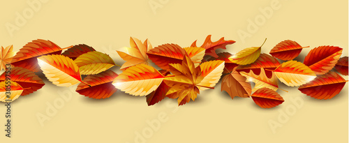 Autumn background decorate with leaves strip and space text. Autumn template for shopping sale promotion, leaflet, web banner, greeting card and festival invitation. Vector illustration.