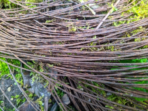 old rusty metal wire in a bundle in the forest in the summer