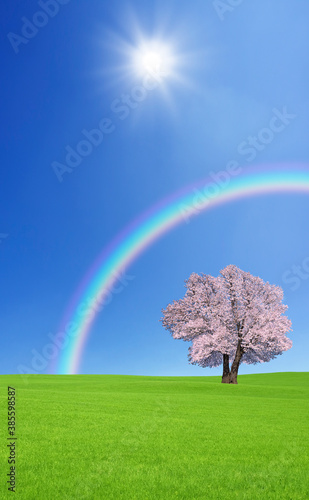 草原の桜の木と雲と虹 © Paylessimages