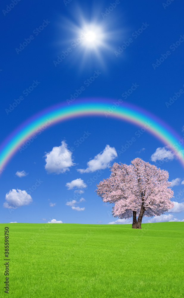 草原の桜の木と雲と虹
