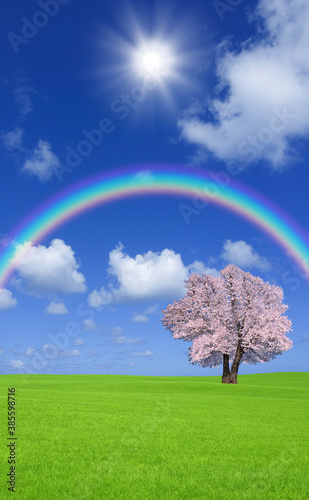 草原の桜の木と雲と虹 © Paylessimages