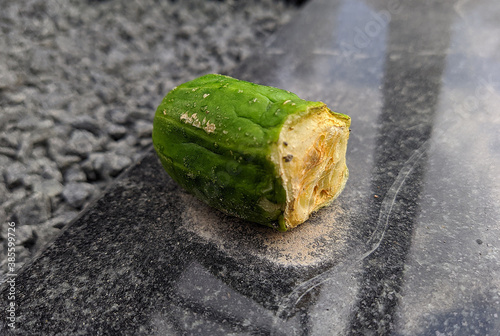 rotten piece of half a cucumber on the street