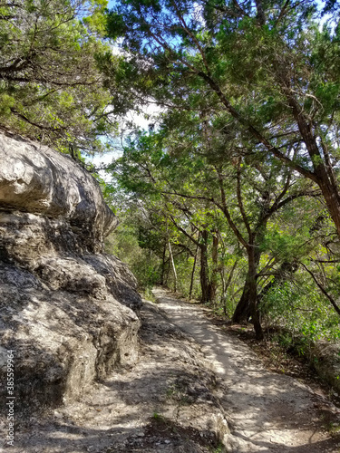 Stone path in the forest