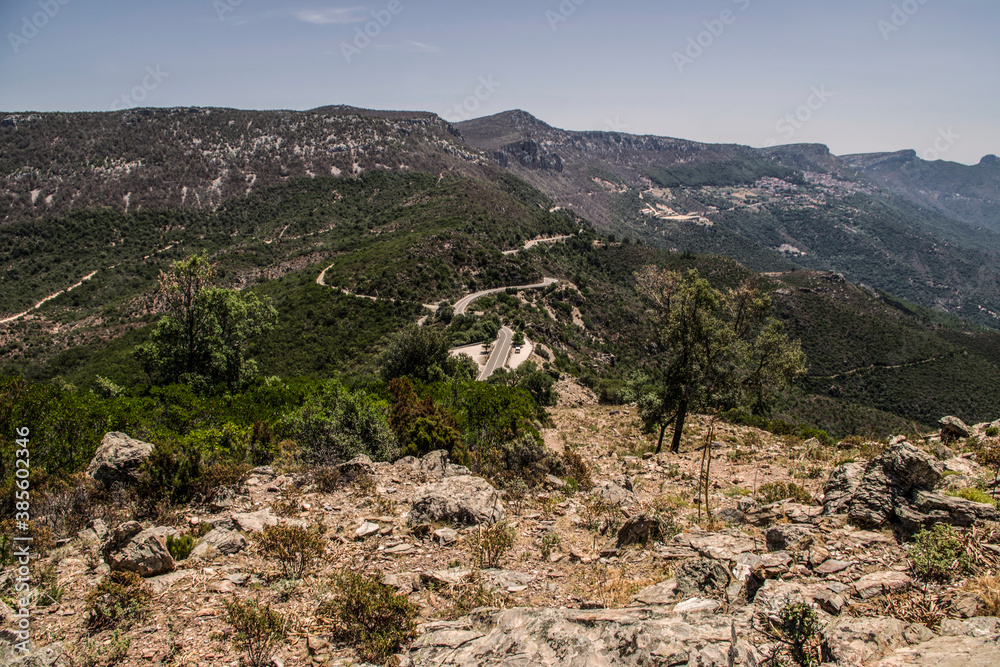 Mountain view in Sardinia, Italy. Mountain landscape with trees and flowers.