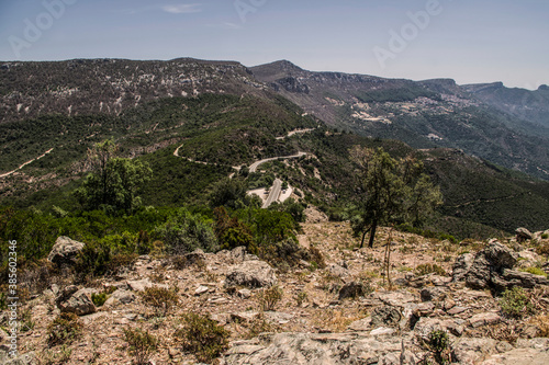 Mountain view in Sardinia, Italy. Mountain landscape with trees and flowers.