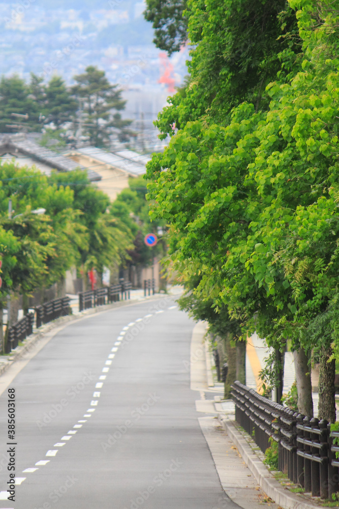 住宅街の道路