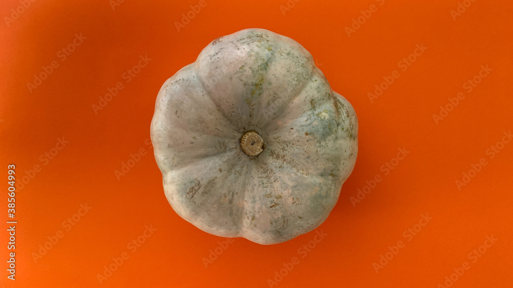 Autumn minimal flat layout. Copy space top view white pumpkin on orange background Autumn minimal flat layout. Copy space top view white pumpkin on orange background