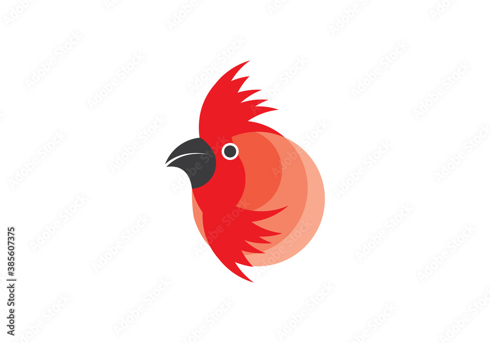 Obraz premium Colorful minimal bird logo.vector illustration.Modern Chicks Logo Template .