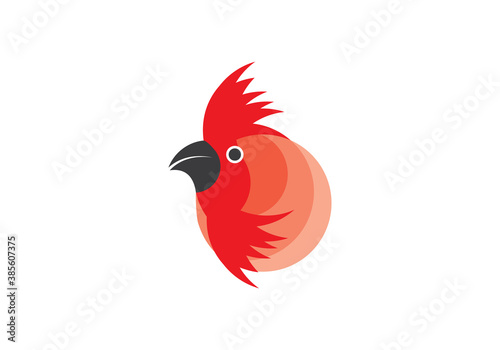 Colorful minimal bird logo.vector illustration.Modern Chicks Logo Template .