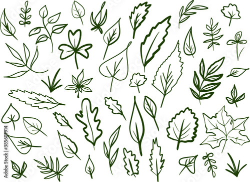 Hand drawn set of leaves. Vector illustration. Doodle lines, frame elements.