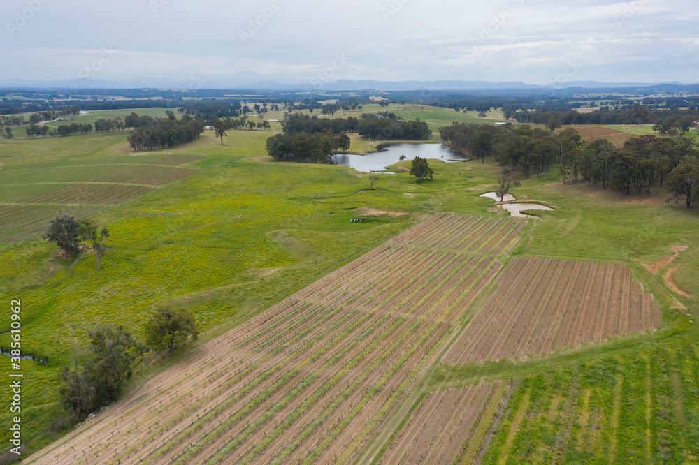 Aerial view of a vineyard in regional New South Wales in Australia