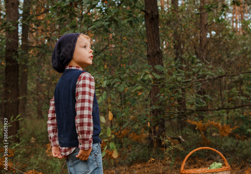 A boy in stylish clothes walks in the woods. Child in the autumn forest. A boy in a checkered shirt and hat.