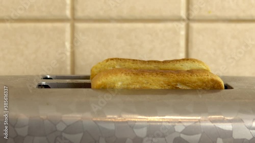 Finished toasts jump out of the toaster. Bread toasted close-up. Breakfast ready. Electrical appliance in the kitchen