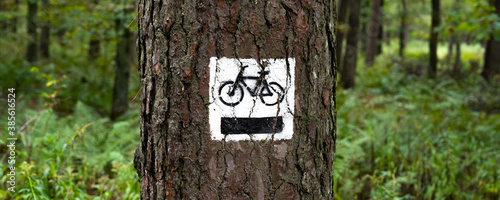 ścieżka rowerowa w lesie