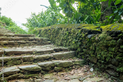Mountain trekking trail with natural stone steps, passing through trees and walls overgrown with dense green moss