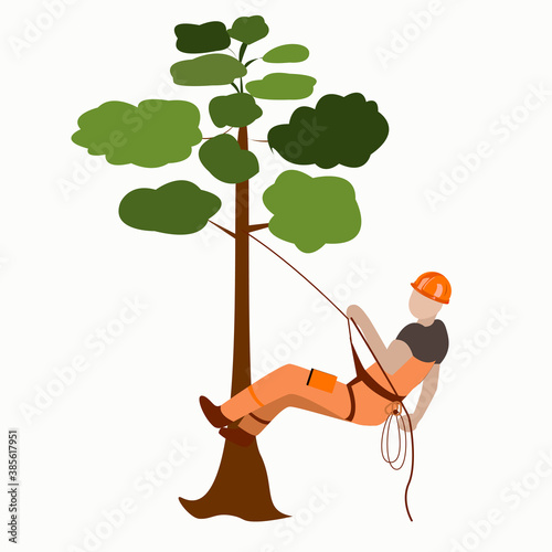 A male arborist climbs a tree on a rope photo