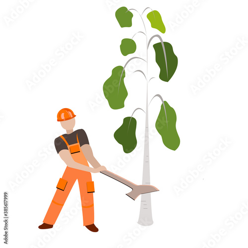 A man woodcutter cuts a birch with an axe