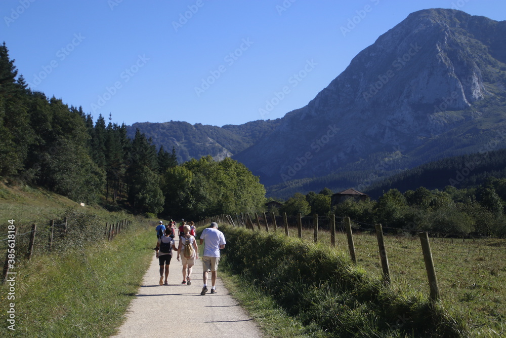 People hiking in a summer day