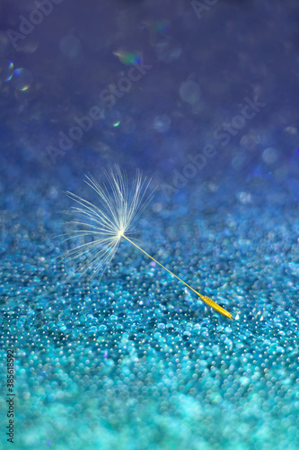 Macrophoto. Beautiful soft abstract background. Dandelion parachute on a blue background with bokeh. Selected sharpness
