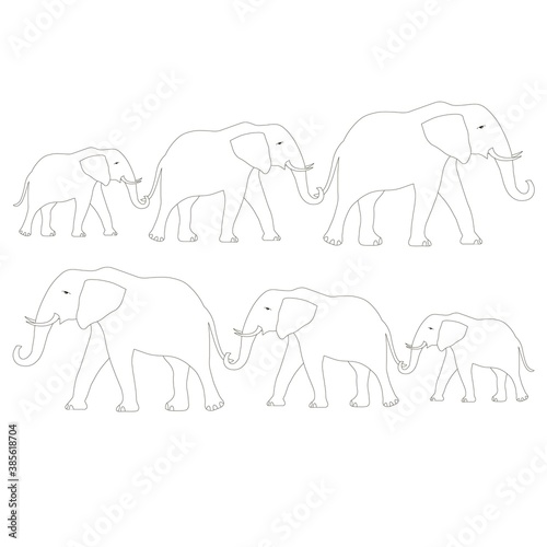 Outline elephant  family coloring page. Animal object isolated for print, for web