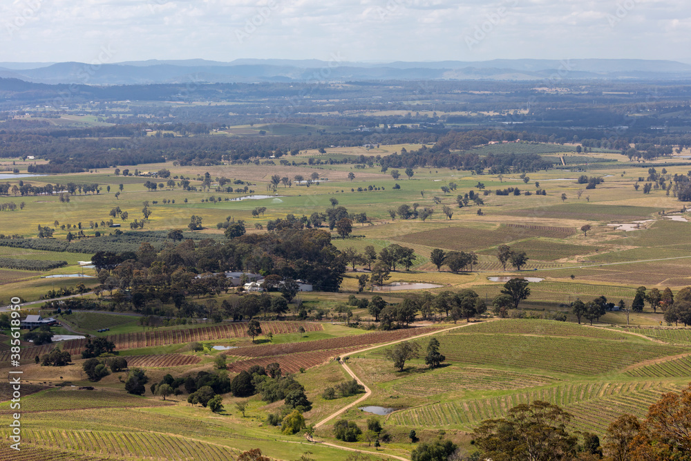 Vineyards in the Hunter Valley in regional Australia