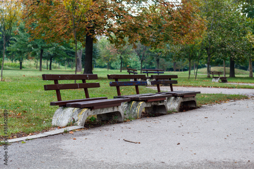 Empty Benches in Public Park in Autumn