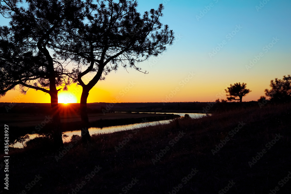Picturesque view of tree near river at sunset