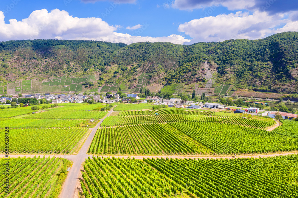 a mosel river vineyard valley in germany