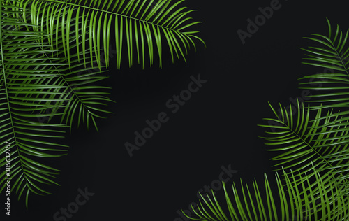 Tropical palm leaves background. Summer tropical leaf. Exotic hawaiian jungle  summertime party design for trendy poster  flyer  banner  card  cover  brochure. 3d render.