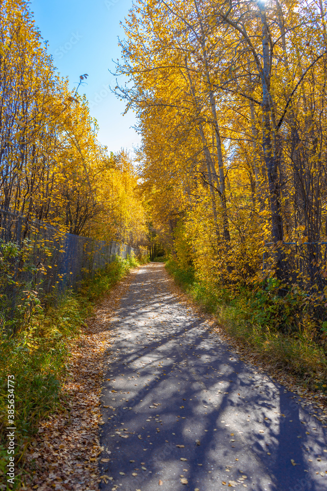 Obraz premium Fall pathway