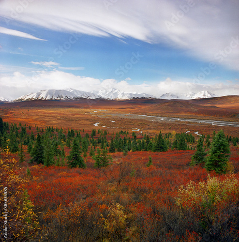 Fang Mountain in Denali National Park