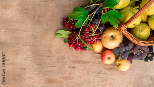 autumn composition. fruits and berries on the wood table in a wicker basket with copy space.