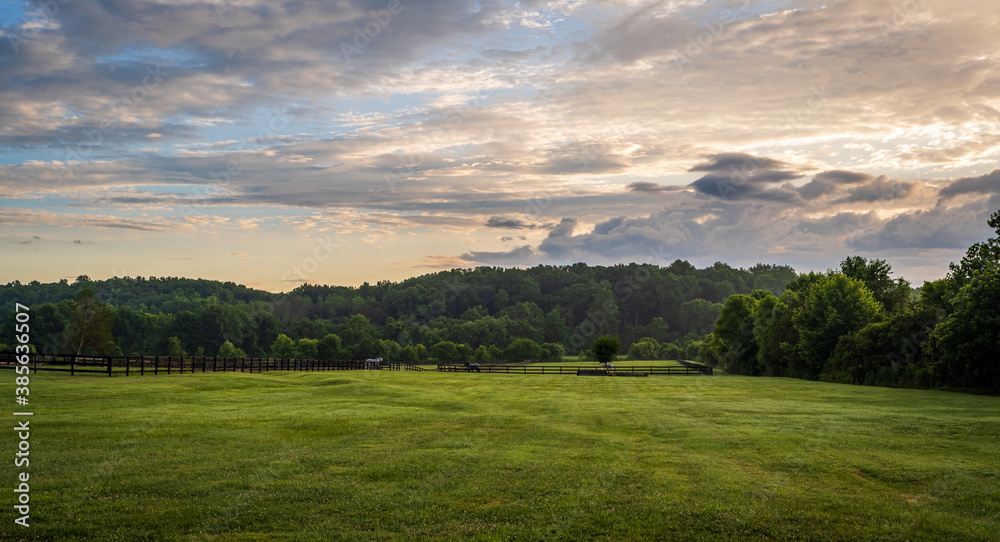 Green grass on the farm